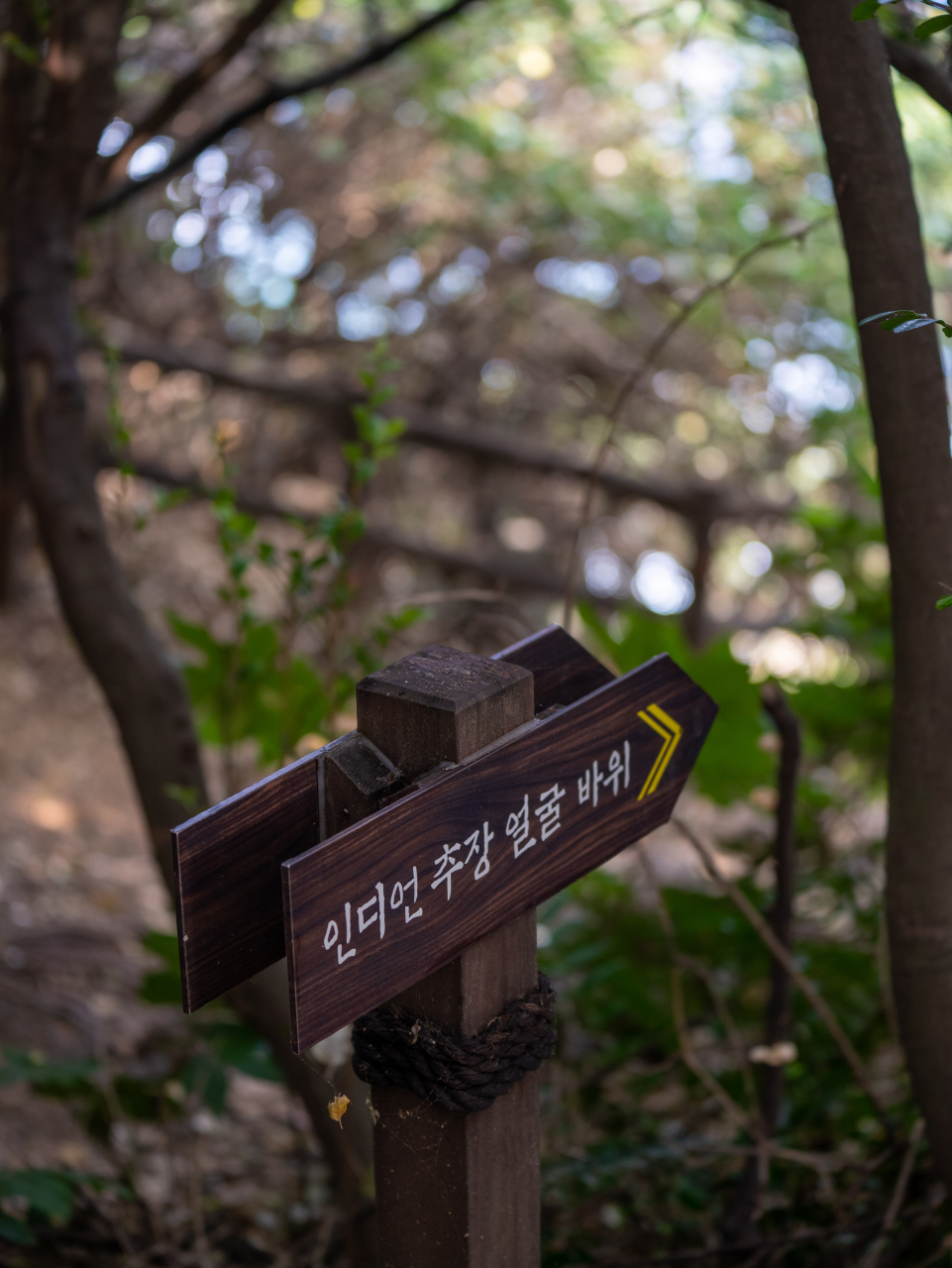 인디언 추장 얼굴 바위
