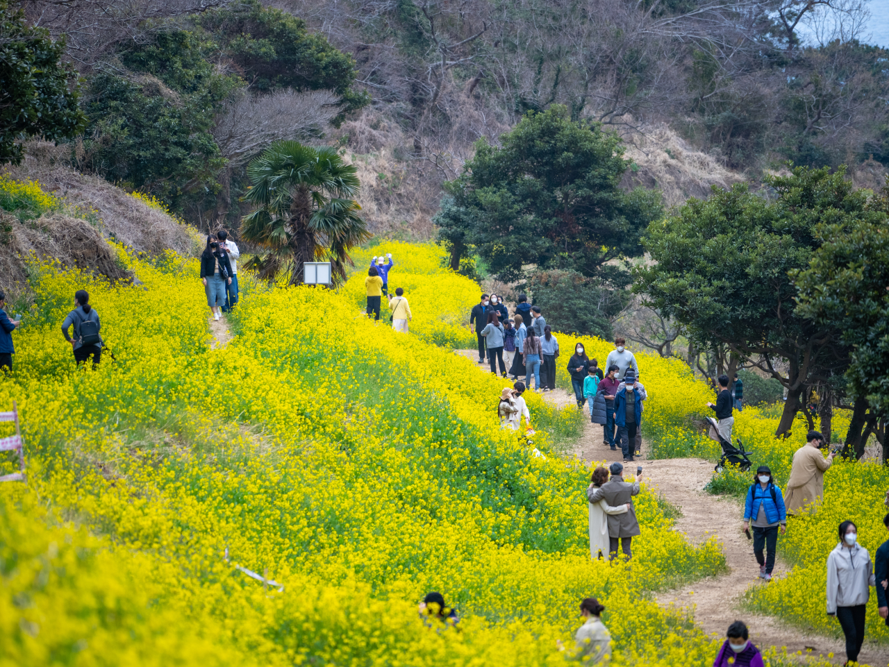 Eongdeongmul Valley