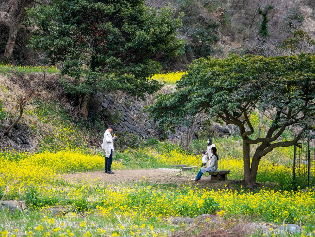 Eongdeongmul Valley