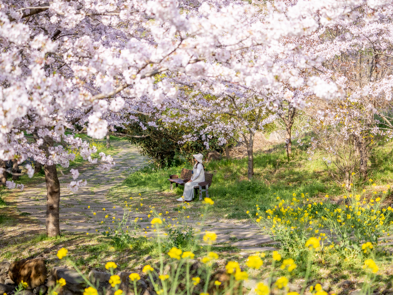 Yerae Ecological Park