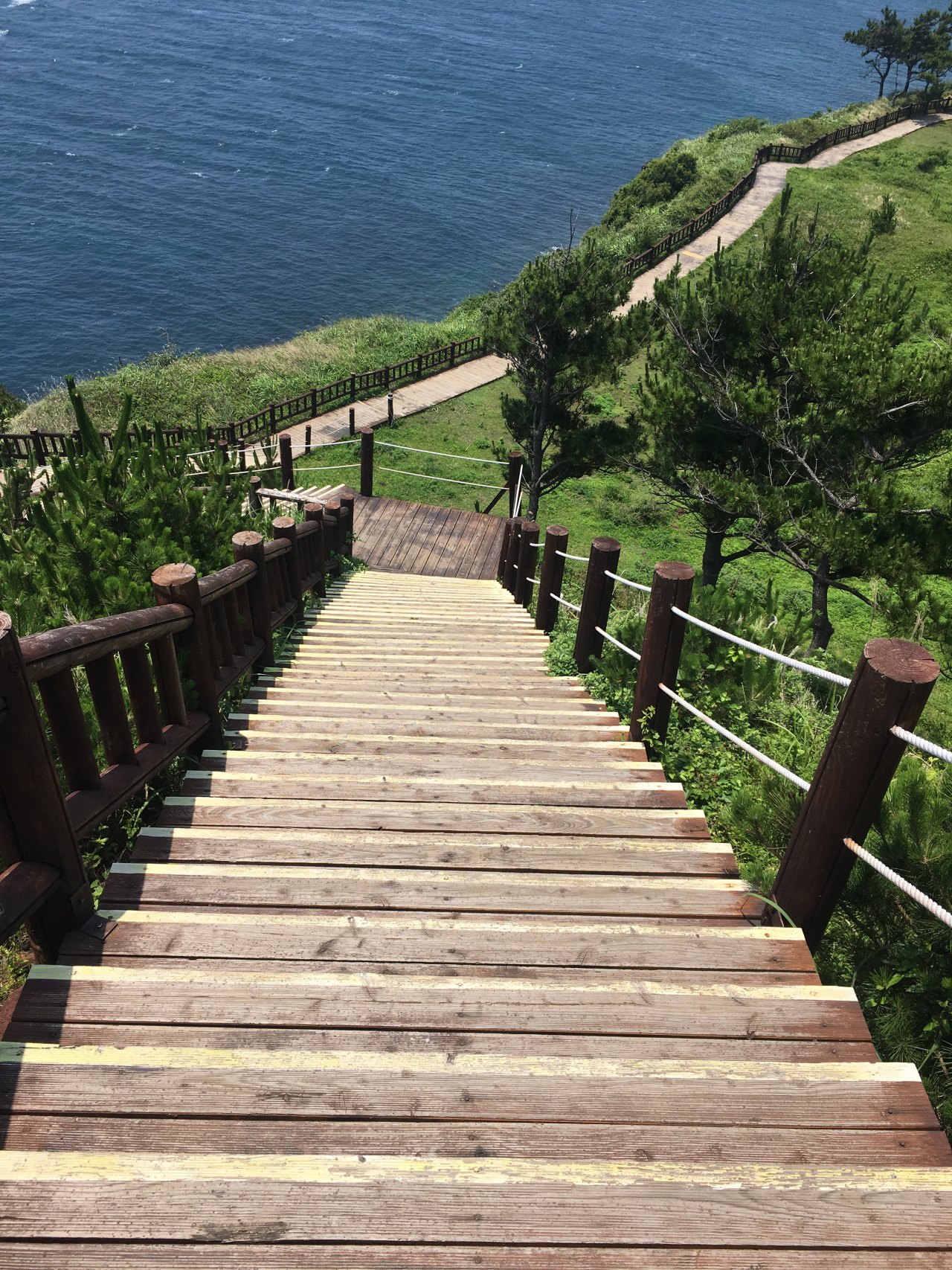 송악산에서 바라본 산방산과 해안 풍경